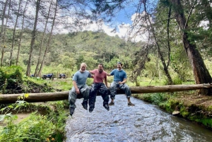 Atv Adventure from Medellin