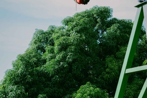 Приключение на квадроциклах в Картахене