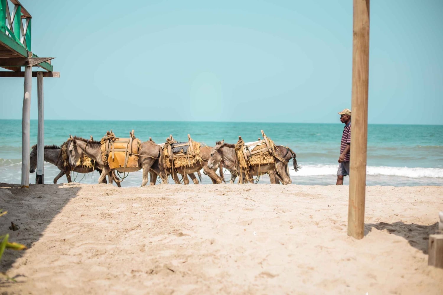 Authentic Tierra Bomba Beach Day at The Pink Mango