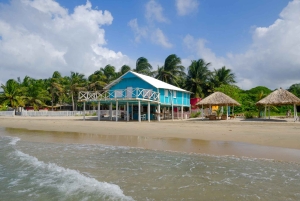 Authentic Tierra Bomba Beach Day at The Pink Mango