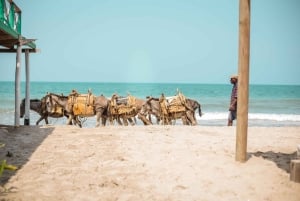 Authentic Tierra Bomba Beach Day at The Pink Mango