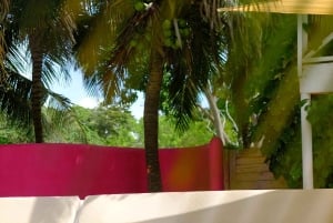 Authentic Tierra Bomba Beach Day at The Pink Mango