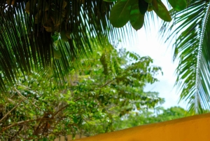 Authentic Tierra Bomba Beach Day at The Pink Mango