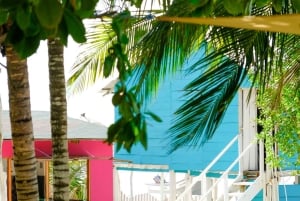 Authentic Tierra Bomba Beach Day at The Pink Mango