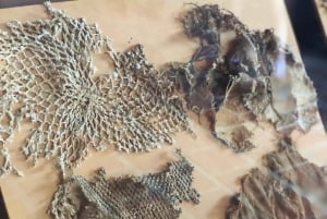 バリチャラ歴史遺産ツアー：歴史、文化、伝統、建築