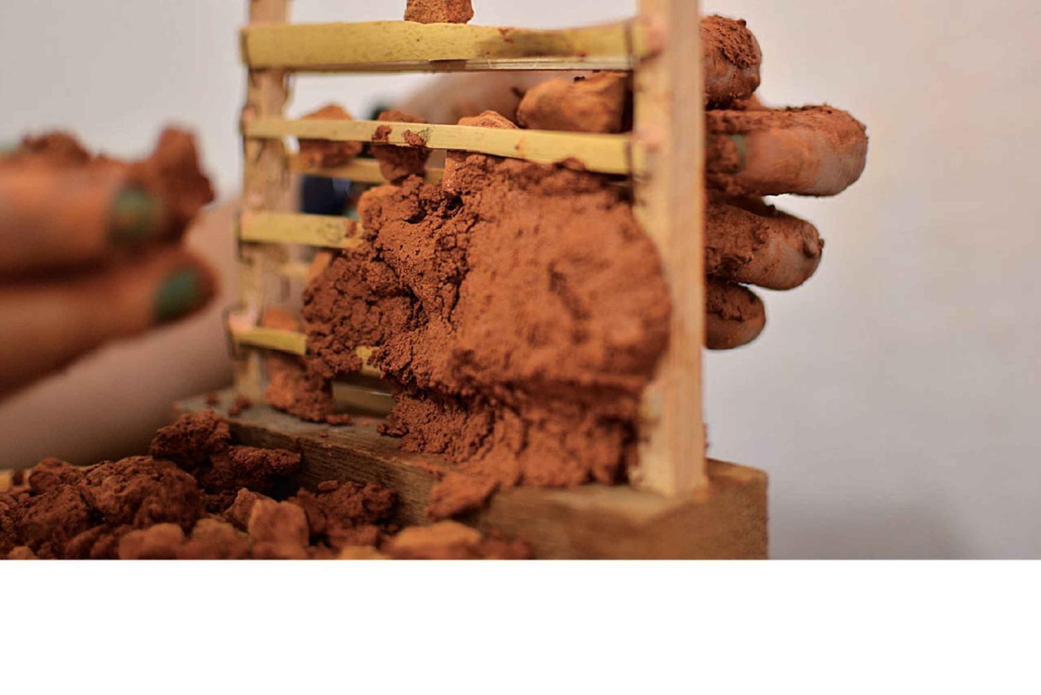 Баричара: сформируйте свою первую пару бахареке