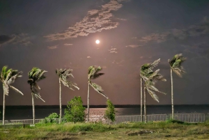 Barranquilla: Leben und Vermächtnis von Shakiras Heimatstadt