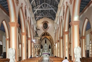 Barranquilla Unveiled: A Hidden Gem City Tour