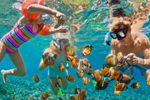 Barú: Club Freedom Beach with Mangrove and Snorkel