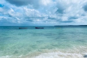 Baru: Excursion en isla, almuerzo y plancton luminoso