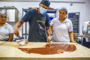 Fra bønne til bar: Kakao- og chokoladeworkshop