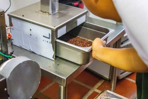 Von der Bohne zur Tafel: Kakao und Schokolade Workshop