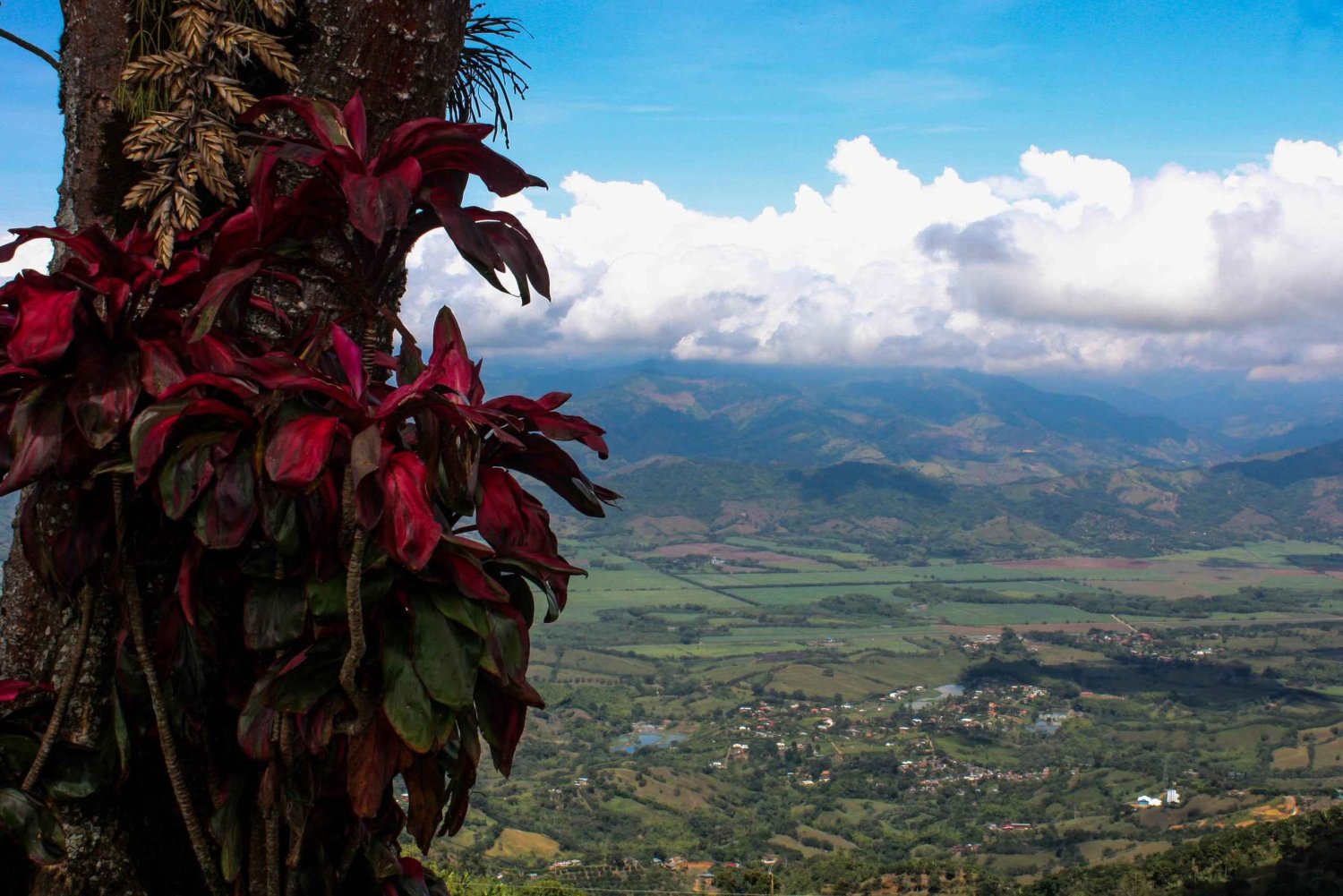 Belalcázar og Cristo Rey: Tur fra Pereira