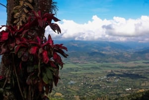 Belalcázar et Cristo Rey : excursion au départ de Pereira