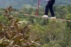 Entre Platos y Calles: Explora San Francisco cund