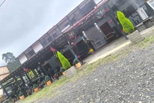 Entre Platos y Calles: Explora San Francisco cund