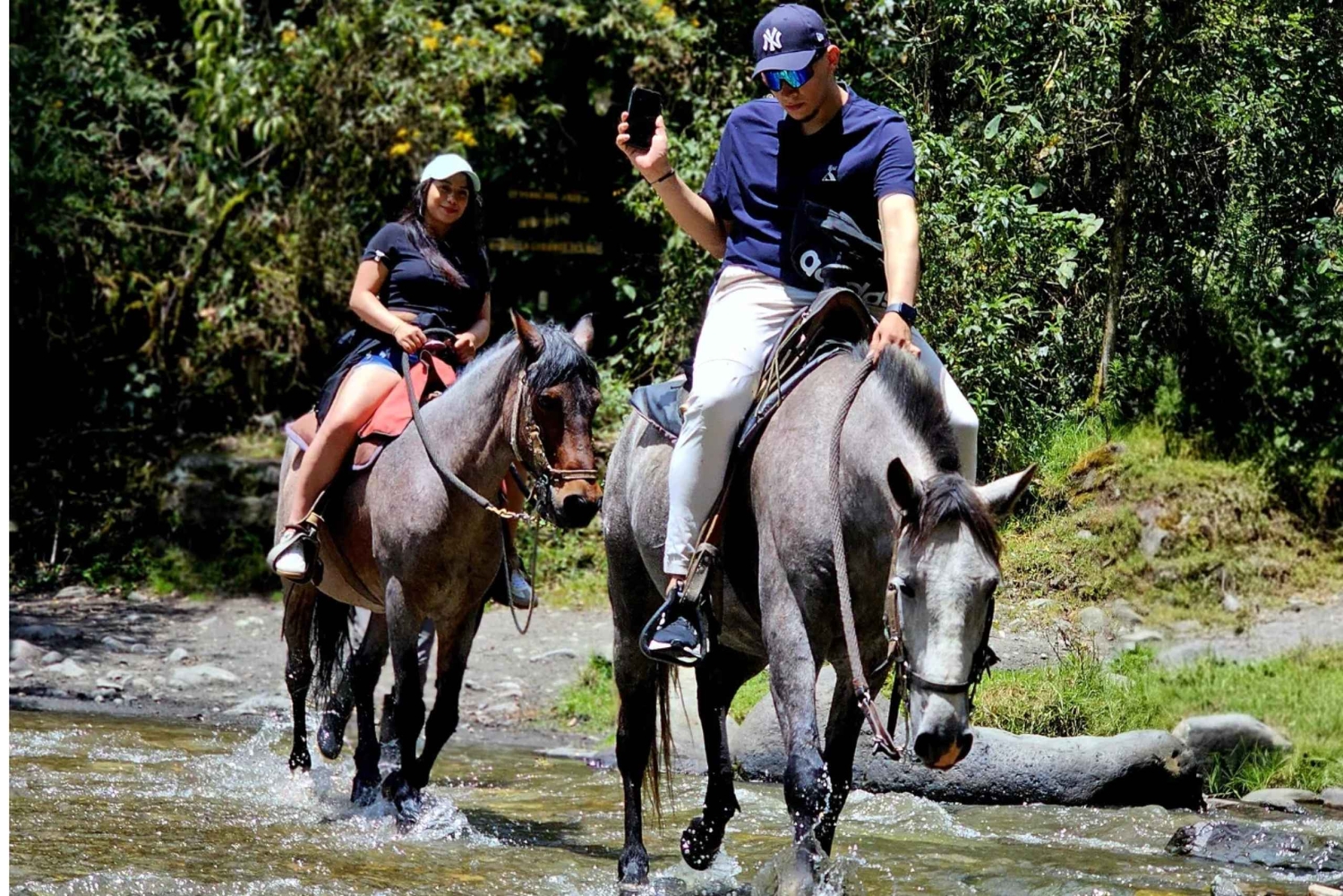 Entre montanhas e orvalho: vale de Cocora e cascata de Santa Rita