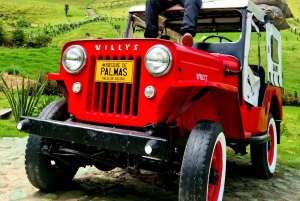 Entre montanhas e orvalho: vale de Cocora e cascata de Santa Rita