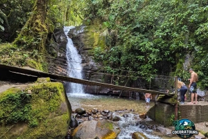 Entre montanhas e orvalho: vale de Cocora e cascata de Santa Rita