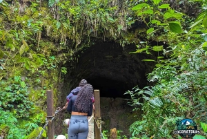 Entre montanhas e orvalho: vale de Cocora e cascata de Santa Rita