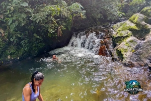 Entre montanhas e orvalho: vale de Cocora e cascata de Santa Rita