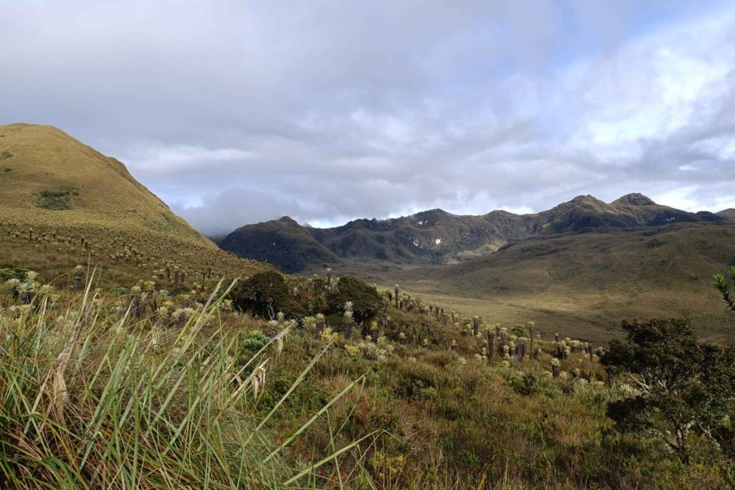 Cykeltur, Ruta de los Andes: Från kaffehuvudstaden till toppen av páramo