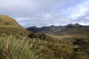 Cykeltur, Ruta de los Andes: Från kaffehuvudstaden till toppen av páramo