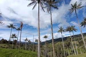 Cykeltur, Ruta de los Andes: Från kaffehuvudstaden till toppen av páramo