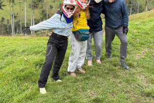 Bike tour through the magical forest of Palmas de La Carbonera