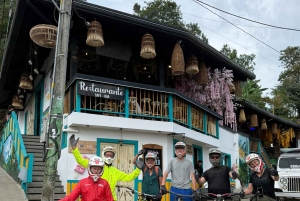 Bike tour through the magical forest of Palmas de La Carbonera