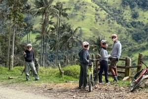Bike tour through the magical forest of Palmas de La Carbonera