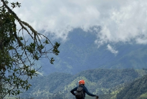 Bike tour through the magical forest of Palmas de La Carbonera