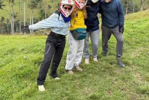 Fahrradtour durch den magischen Wald von Palmas de La Carbonera