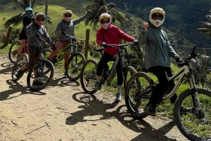 Fahrradtour durch den magischen Wald von Palmas de La Carbonera