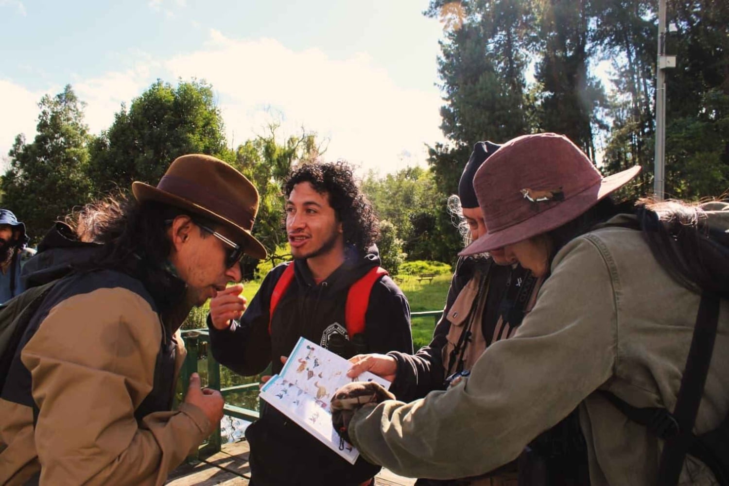 Birdwatching nelle zone umide di Bogotá con Bakata Pajarera