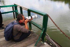 Birdwatching nelle zone umide di Bogotá con Bakata Pajarera