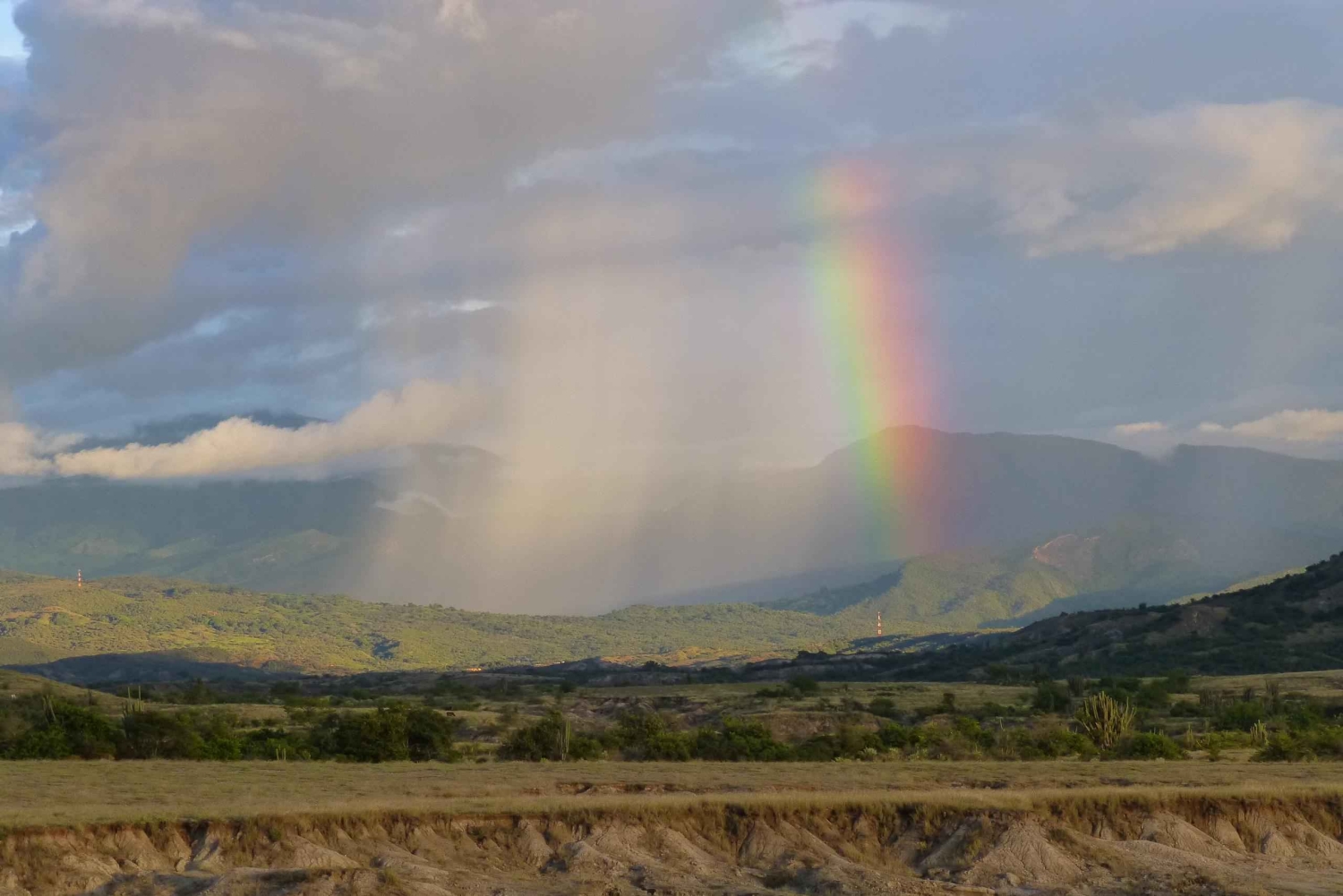 Vogelbeobachtungstour in der Tatacoa-Wüste