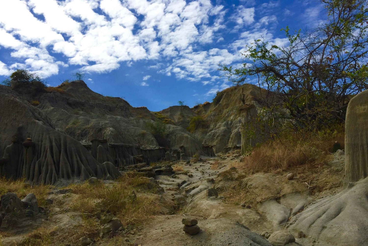 Vogelbeobachtungstour in der Tatacoa-Wüste