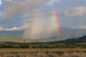 Vogelbeobachtungstour in der Tatacoa-Wüste