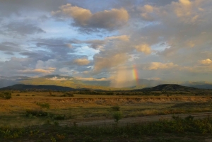 Vogelbeobachtungstour in der Tatacoa-Wüste