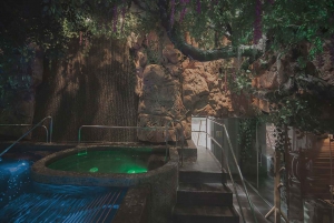 Medellín: 6-Hour Luxury Wellness Spa Retreat