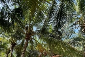Bocachica: Atolón Beach Club VIP Day Trip with Lunch