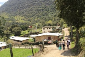 Bogota: 3-Day Culture, Coffee, and Graffiti Private Tour