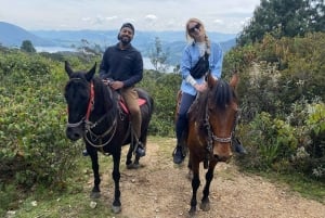 Bogotá: Aventura na Cordilheira dos Andes