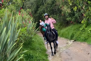 Bogotá: Aventura na Cordilheira dos Andes