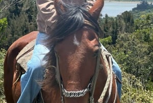 Bogotá: Aventura na Cordilheira dos Andes