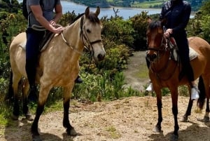 Bogotá: Aventura na Cordilheira dos Andes