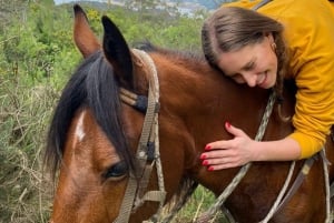 Bogota: Abenteuer in den Anden
