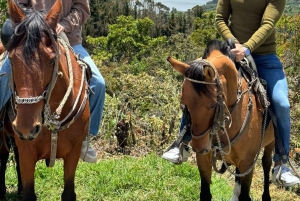 Bogota: Abenteuer in den Anden