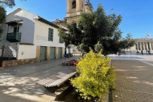 Bogotá: Aula de gravação de arquitetura e interiorismo com iPhone